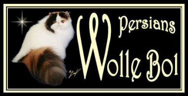 banner van cattery Wolle Bol