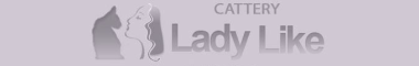 Cattery banner