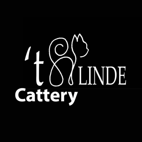 Profiel afbeelding van cattery_tkatlinde